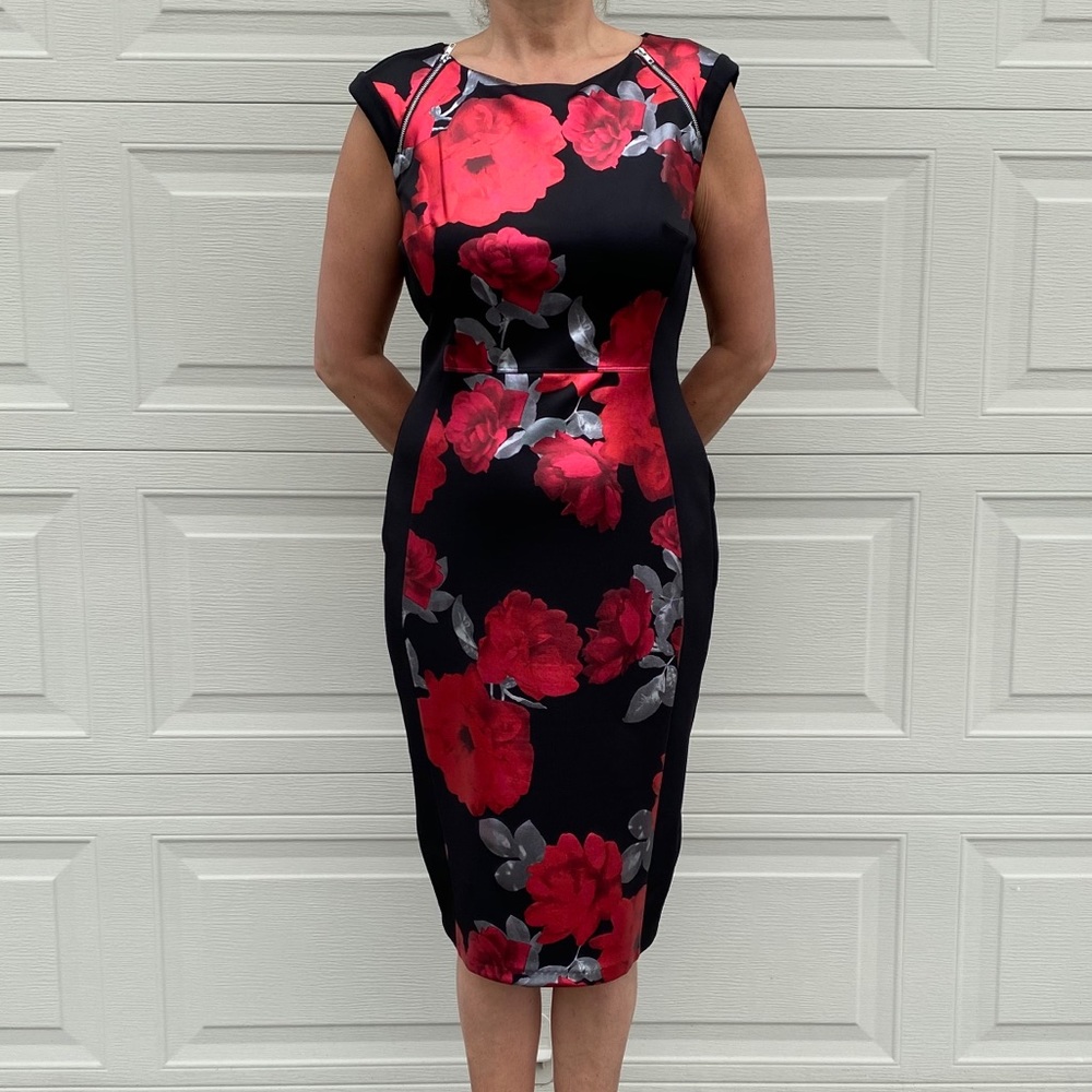Enfocus Studio Black and Red Dress